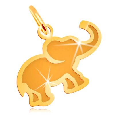 Medál sárga 14K aranyból - kis lapos elefánt matt középpel ékszer webáruház