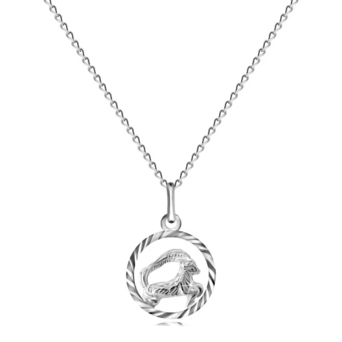 925 ezüst nyaklánc a horoszkóp jegyében - BAK ékszer webáruház