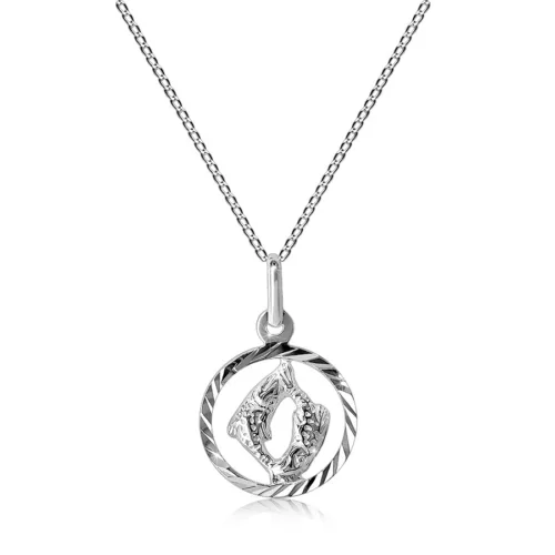 925 ezüst nyaklánc - lánc és a horoszkópja -  HALAK ékszer webáruház