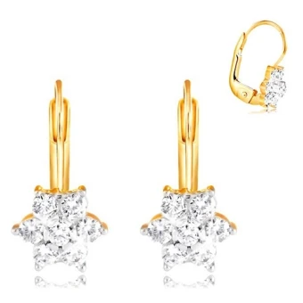 Ékszer webáruház elegáns ékszerek  - 585 arany fülbevaló - csillogó virág kerek átlátszó cirkóniákból